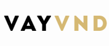 vayvnd logo